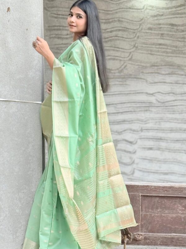 Banarasi Saree with Gold Zari Work - Image 3